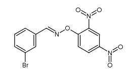 (E)-3-bromobenzaldehyde O-(2,4-dinitrophenyl) oxime
