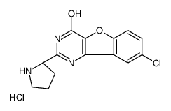 (S)-8-氯-2-(吡咯烷基-2-基)苯并呋喃并[3,2-d]嘧啶-4(3H)-酮 x盐酸盐