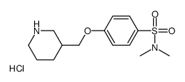 N,N-二甲基-4-(3-哌啶甲氧基)苯磺酰胺盐酸盐