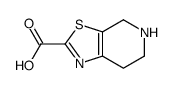 4,5,6,7-四氢-噻唑并[5,4-C]吡啶-2-羧酸
