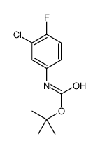 (3-氯-4-氟-苯基)-氨基甲酸叔丁酯