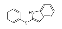 2-phenylsulfanyl-1H-indole