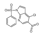 4-chloro-5-nitro-1-(phenylsulfonyl)-1H-pyrrolo[2,3-b]pyridine