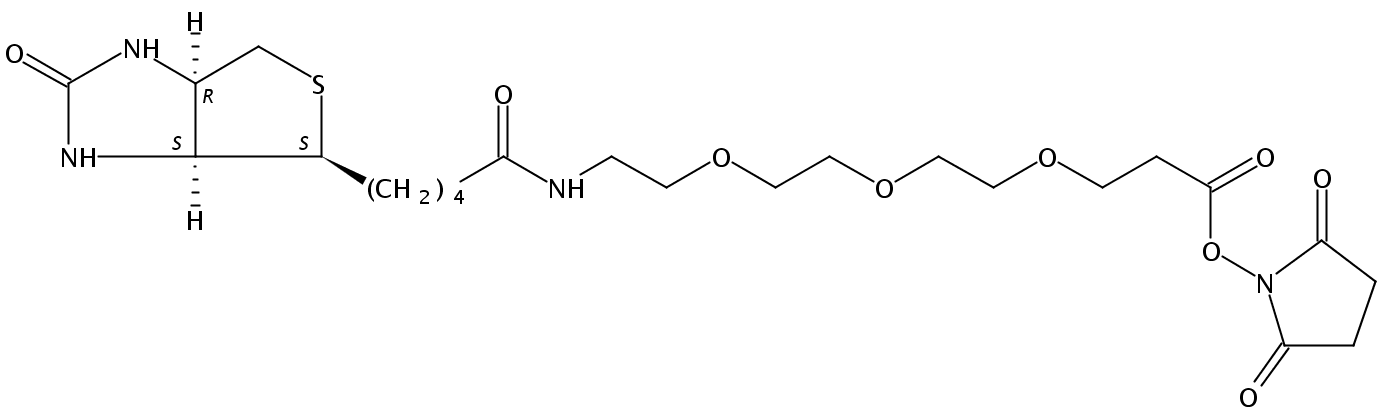 生物素-三聚乙二醇-琥珀酰亚胺酯