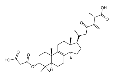 24(31)-Dehydrocarboxyacetylquercinic acid对照品(标准品) | 127970-62-1