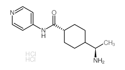 Y 27632 二盐酸盐; 反式-4-[(R)-1-氨基乙基]-N-(4-吡啶基)环己烷甲酰胺二盐酸盐