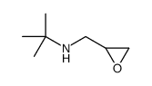 2-methyl-N-(oxiran-2-ylmethyl)propan-2-amine