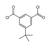5-tert-butylbenzene-1,3-dicarbonyl chloride
