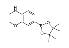 7-(4,4,5,5-四甲基-1,3,2-二噁硼烷-2-基)-3,4-二氢-2H-苯并[b][1,4]噁嗪