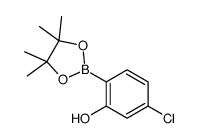5-氯-2-(4,4,5,5-四甲基-1,3,2-二噁硼烷-2-基)苯酚