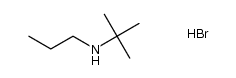tert-butylpropylamine hydrobromide