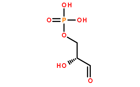 甘油醛3磷酸盐