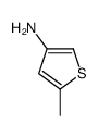 5-甲基-3-氨基噻吩
