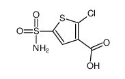 2-Chloro-5-sulfamoyl-3-thiophenecarboxylic acid