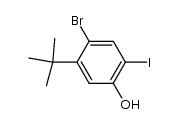 4-bromo-5-tert-butyl-2-iodophenol