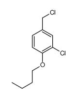 1-butoxy-2-chloro-4-(chloromethyl)benzene