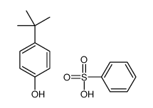 benzenesulfonic acid,4-tert-butylphenol