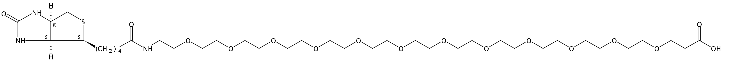 生物素-十二聚乙二醇-丙酸
