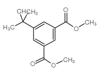 dimethyl 5-tert-butylbenzene-1,3-dicarboxylate