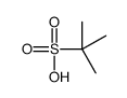 2-methylpropane-2-sulfonic acid