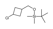 tert-butyl-[(3-chlorocyclobutyl)methoxy]-dimethylsilane