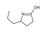 5-propylpyrrolidin-2-one