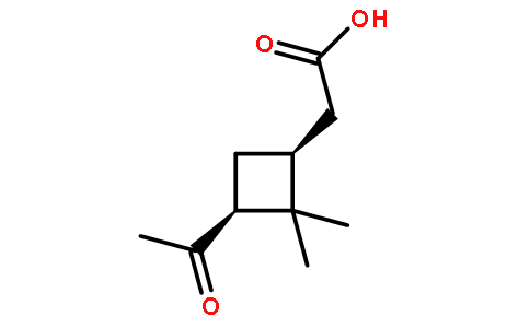 [(1S,3S)-3-乙酰基-2,2-二甲基环丁基]乙酸