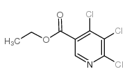ethyl 4,5,6-trichloropyridine-3-carboxylate