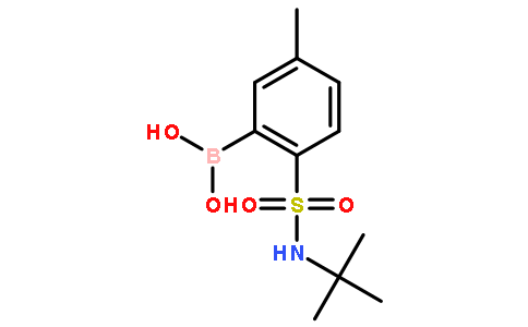 叔丁基2-二羟硼基-4-甲基苯磺酰胺