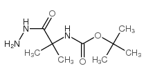 (1-肼基-2-甲基-1-氧代-2-丙基)氨基甲酸叔丁酯