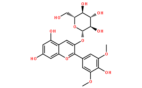 锦葵素-3-O-葡萄糖苷 9250780