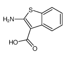 2-氨基-1-苯并噻吩-3-羧酸