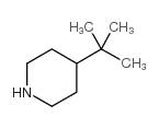 4-tert-butylpiperidine