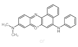 N~9~,N~9~-二甲基-N~5~-苯基-9H-苯并[a]苯并噁嗪-5,9-二胺