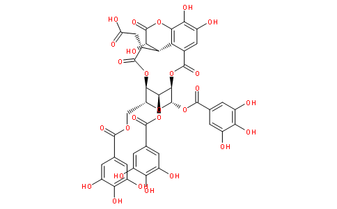 分子结构式