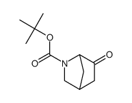 6-氧代-2-氮杂双环[2.2.1]庚烷-2-羧酸叔丁酯