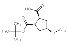(2R,4R)-4-methoxy-1-[(2-methylpropan-2-yl)oxycarbonyl]pyrrolidine-2-carboxylic acid