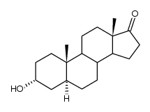 androsterone
