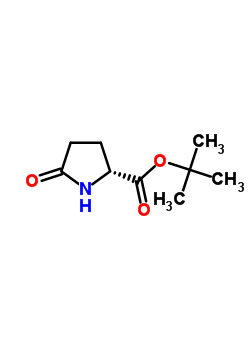D-焦谷氨酸叔丁酯