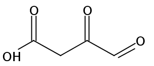 3,4-dioxobutanoic acid