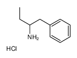 1-苯基-2-丁胺 盐酸盐