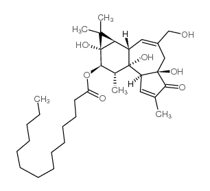 Phorbol-12-monomyristate