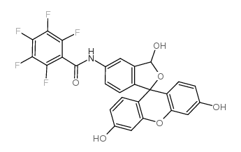 2,3,4,5,6-pentafluoro-N-(3,3',6'-trihydroxyspiro[3H-2-benzofuran-1,9'-xanthene]-5-yl)benzamide