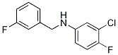 3-氯-4-氟-N-(3-氟苄基)苯胺