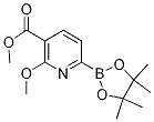 2-甲氧基-6-(4,4,5,5-四甲基-1,3,2-二噁硼烷-2-基)烟酸甲酯