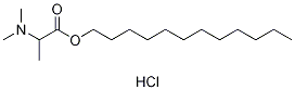 十二烷基2-(二甲基氨基)丙酸酯盐酸盐
