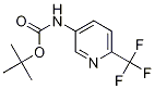 N-BOC-5-氨基-2-三氟甲基吡啶