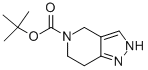 叔丁基-6,7-二氢-2H-吡唑并[4,3-C]吡啶-5(4H) - 甲酸叔丁酯