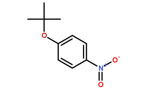 1-叔丁氧基-4-硝基苯