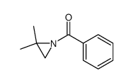 2,2-dimethyl-1-benzoylaziridine